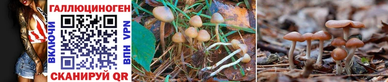 omg зеркало  Лагань  Галлюциногенные грибы MAGIC MUSHROOMS  где можно купить наркотик 