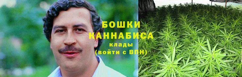 Каннабис OG Kush  цены   Лагань 